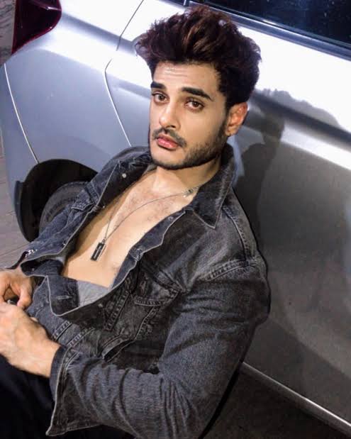 Joshua Chhabra Biography: Girlfriend, Movies, Ethnicity, Age, Net Worth, Height, Parents, Instagram