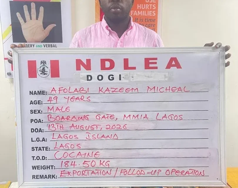 NDLEA Arrests Instagram Influencer “KC Luxury” as Nigerian Head of Cocaine Trafficking Network