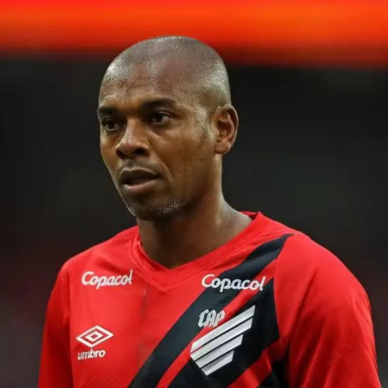 Fernandinho - Biography