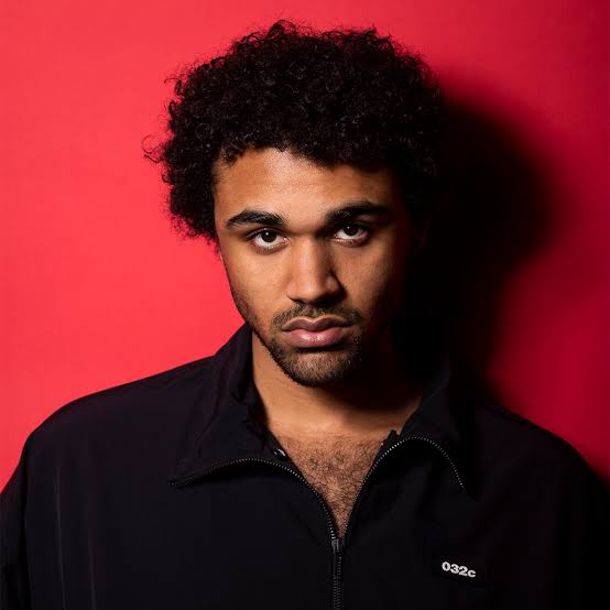 Langston Uibel Biography: Awards, Ethnicity, Age, Height, Girlfriend, Parents, Movies, Net Worth