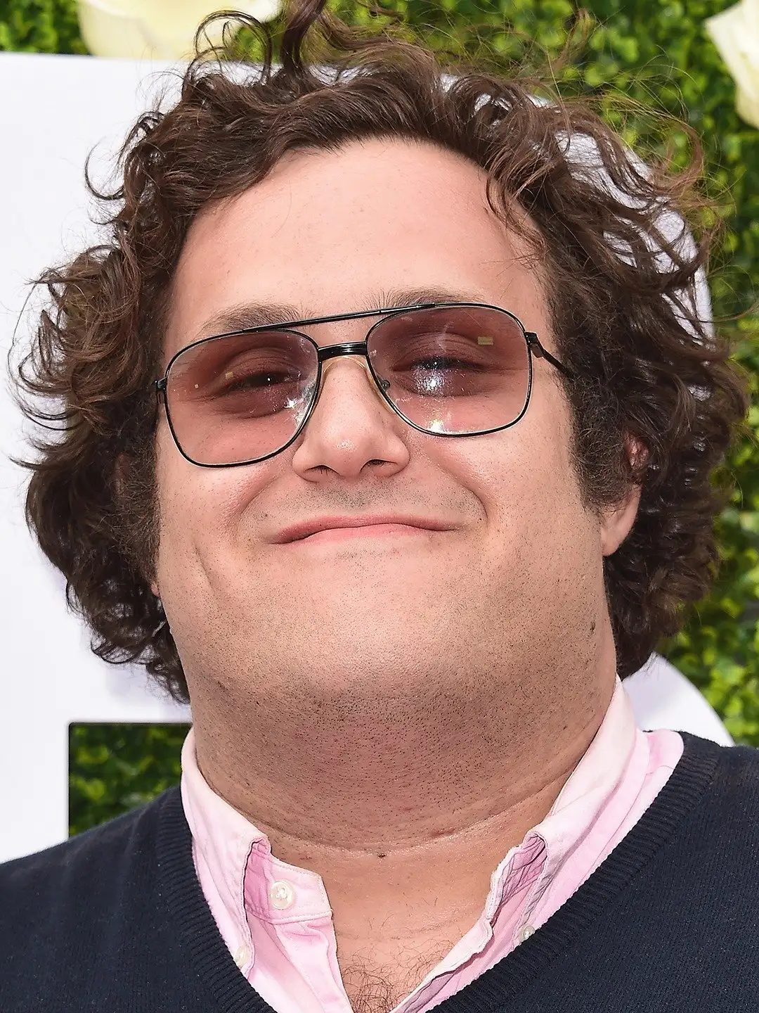 Ari Stidham - Biography