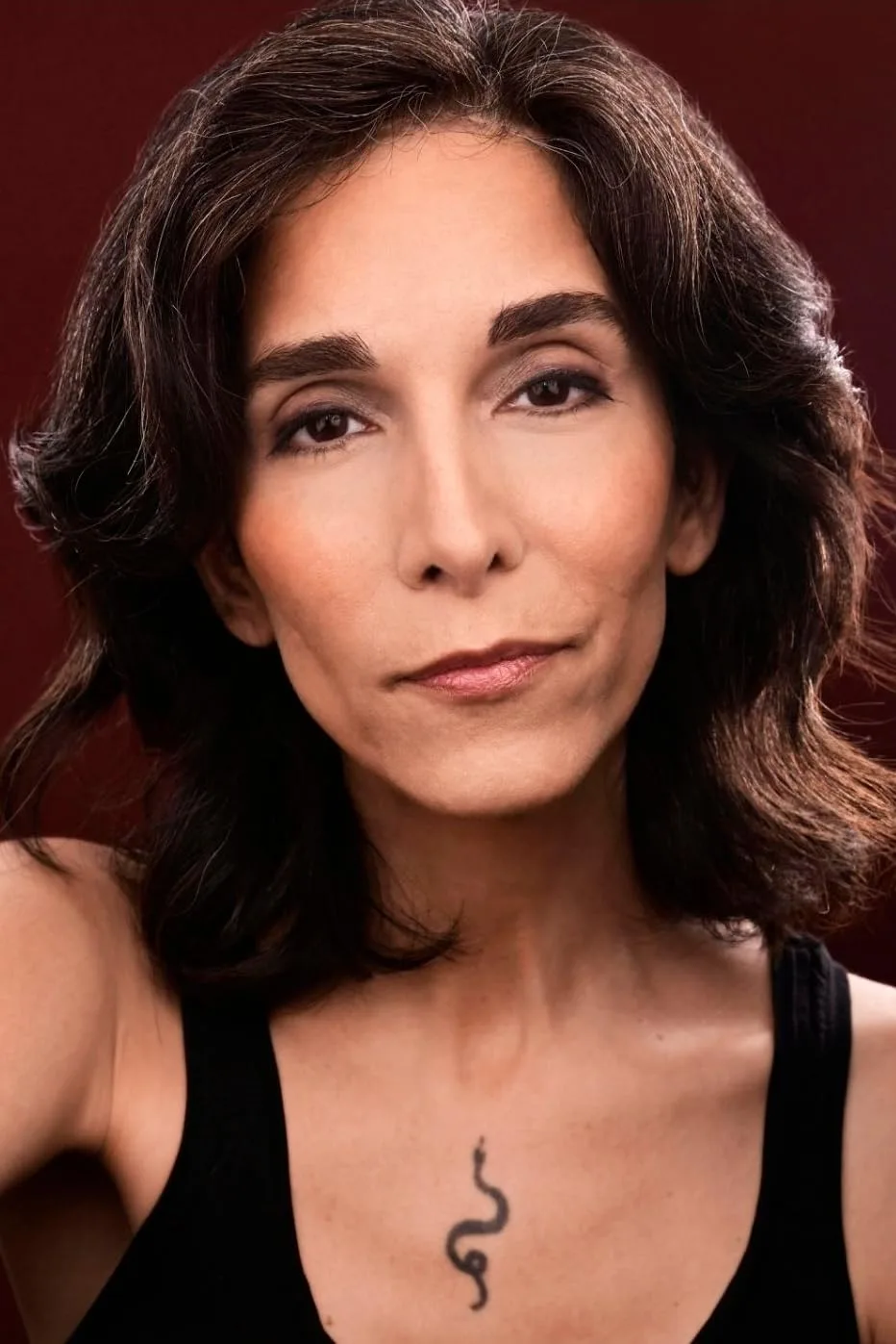 Pooya Mohseni - Biography