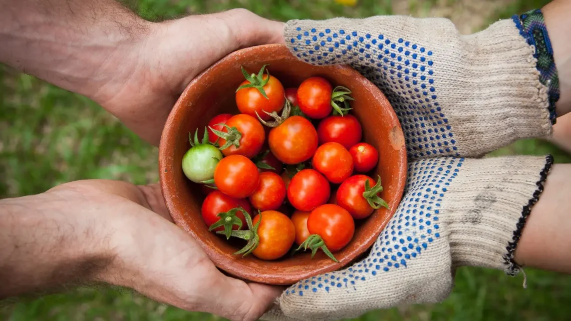 What “Sustainable” Food Labels Actually Mean and Which Ones Are Regulated