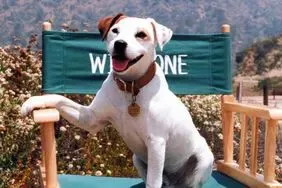 Wishbone - Biography