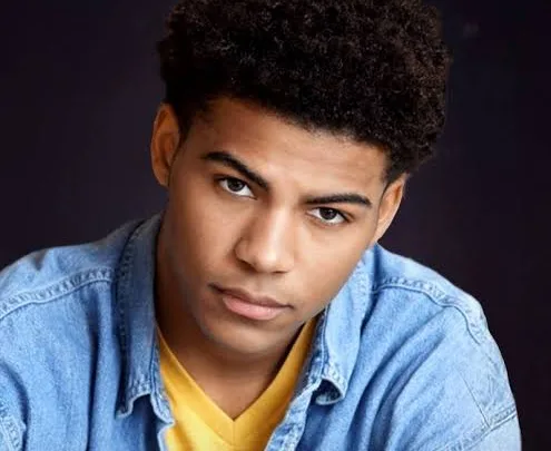 Noah A. Gerry Biography: Age, Net Worth, Movies & TV Shows, Career, Girlfriend