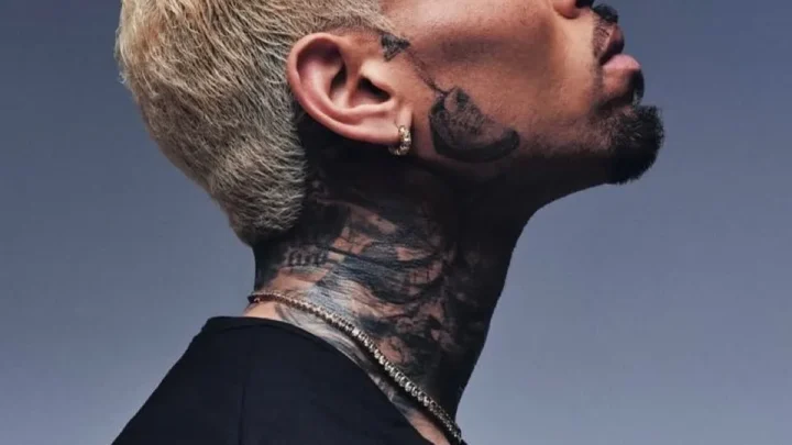 Chris Brown Avoids Jail With Suspended Sentence for London Nightclub Bottle Attack