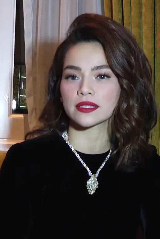 Hồ Ngọc Hà - Biography