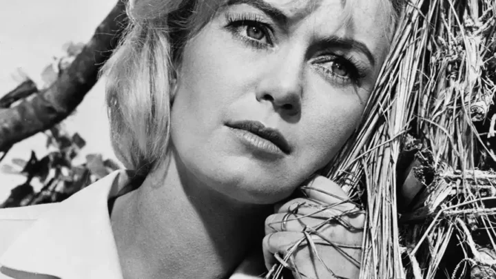 Janette Scott Biography: Age, Husband, Kids, Height, Net Worth, Parents, Movies & TV Shows, Mother