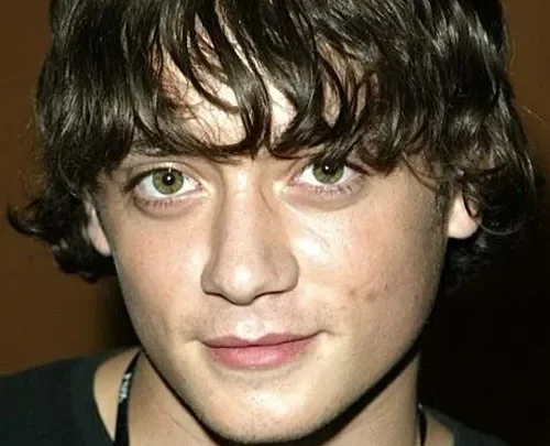 Brian Sites Biography: Age, Wife, Kids, Height, Net Worth, Parents, Movies & TV Shows, Career